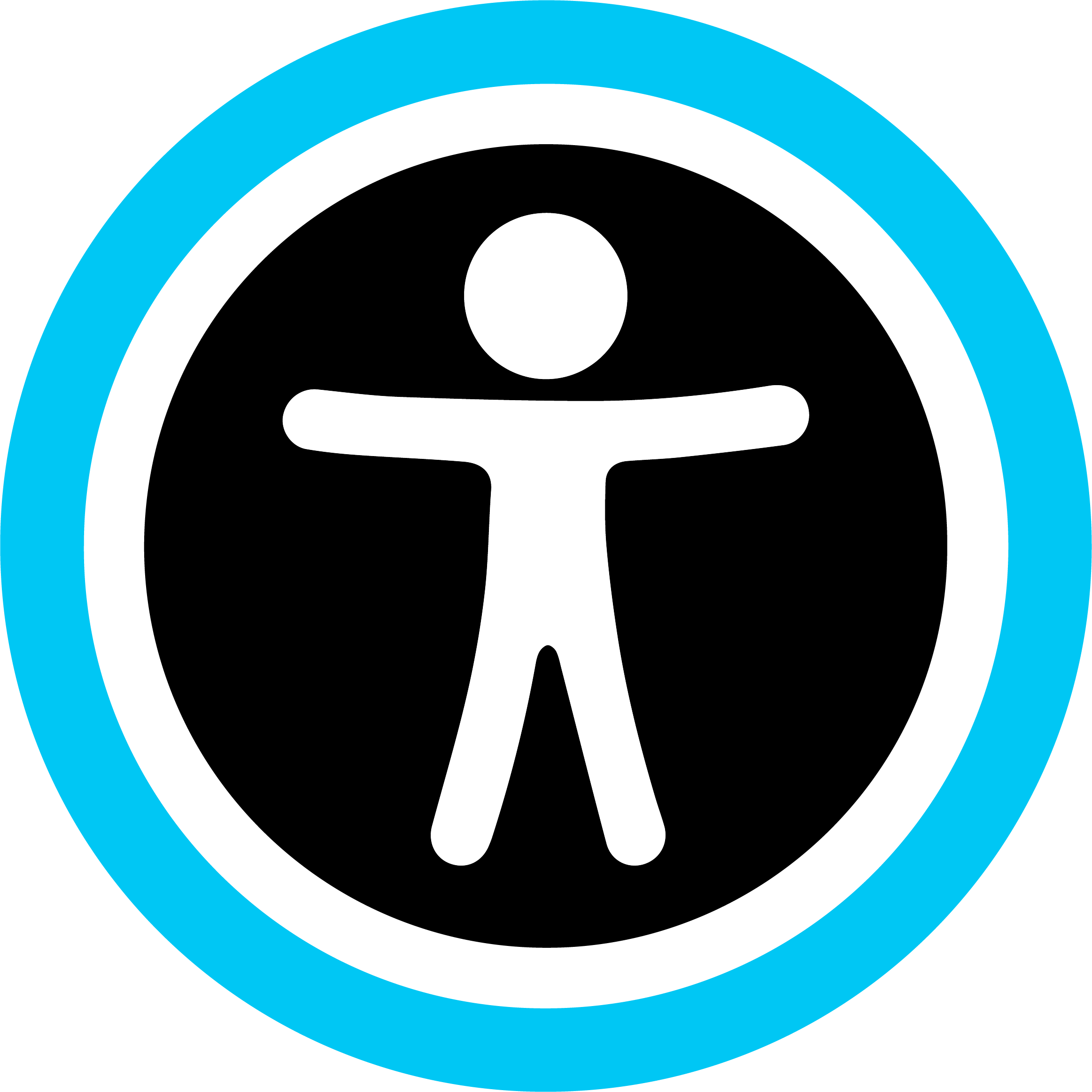 Accessibility Statement